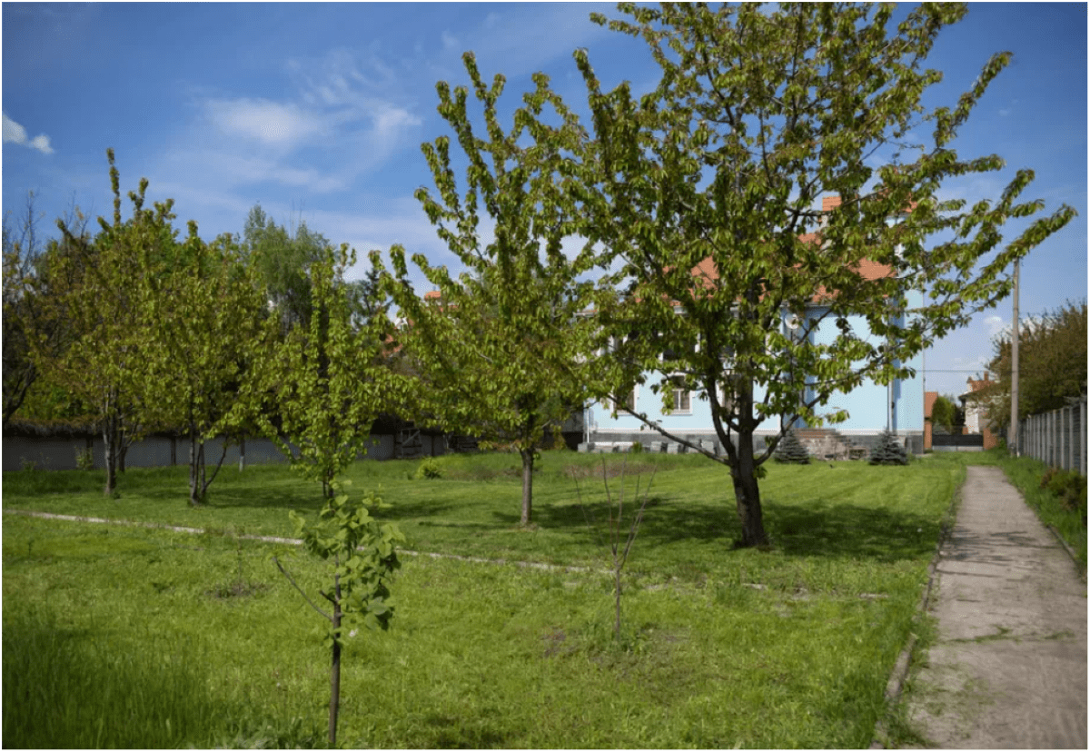 Самый дорогой дом в Днепре в мае