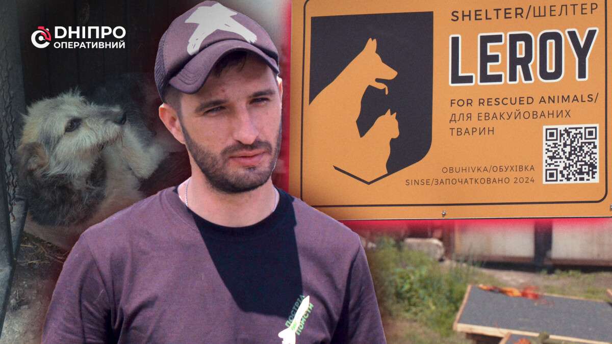 Шанс на життя як у Дніпрі рятують чотирилапих