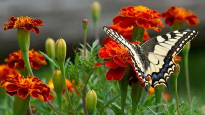 Погода в Днепре лето