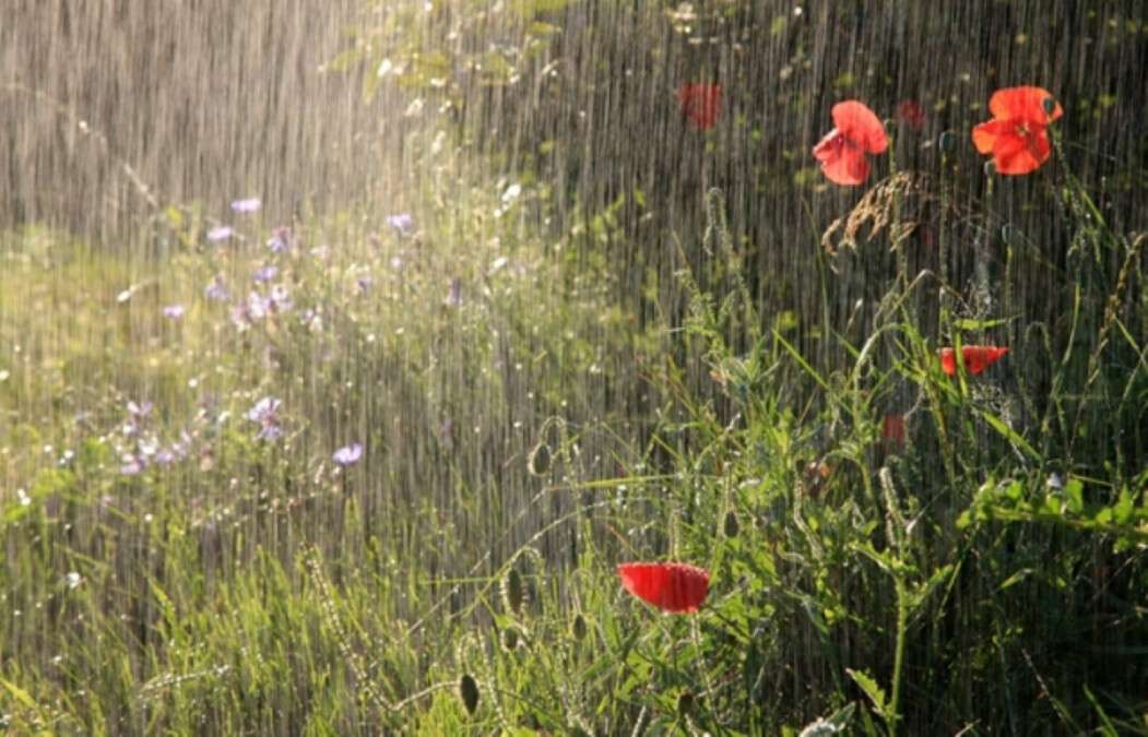 Погода 23 червня Дніпро