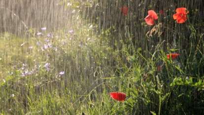 Погода 23 июня Днепр