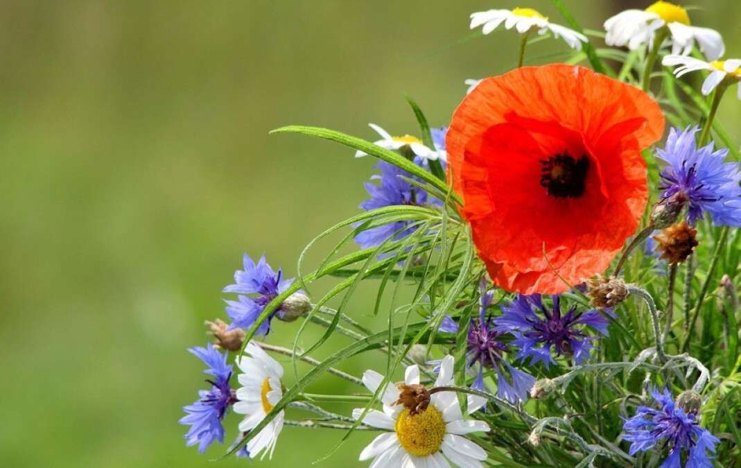 Погода в Дніпрі 24 червня