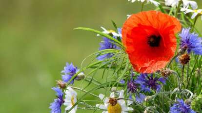 Погода в Днепре 24 июня