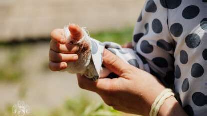 Число жертв ракетной атаки на Днепр увеличилось