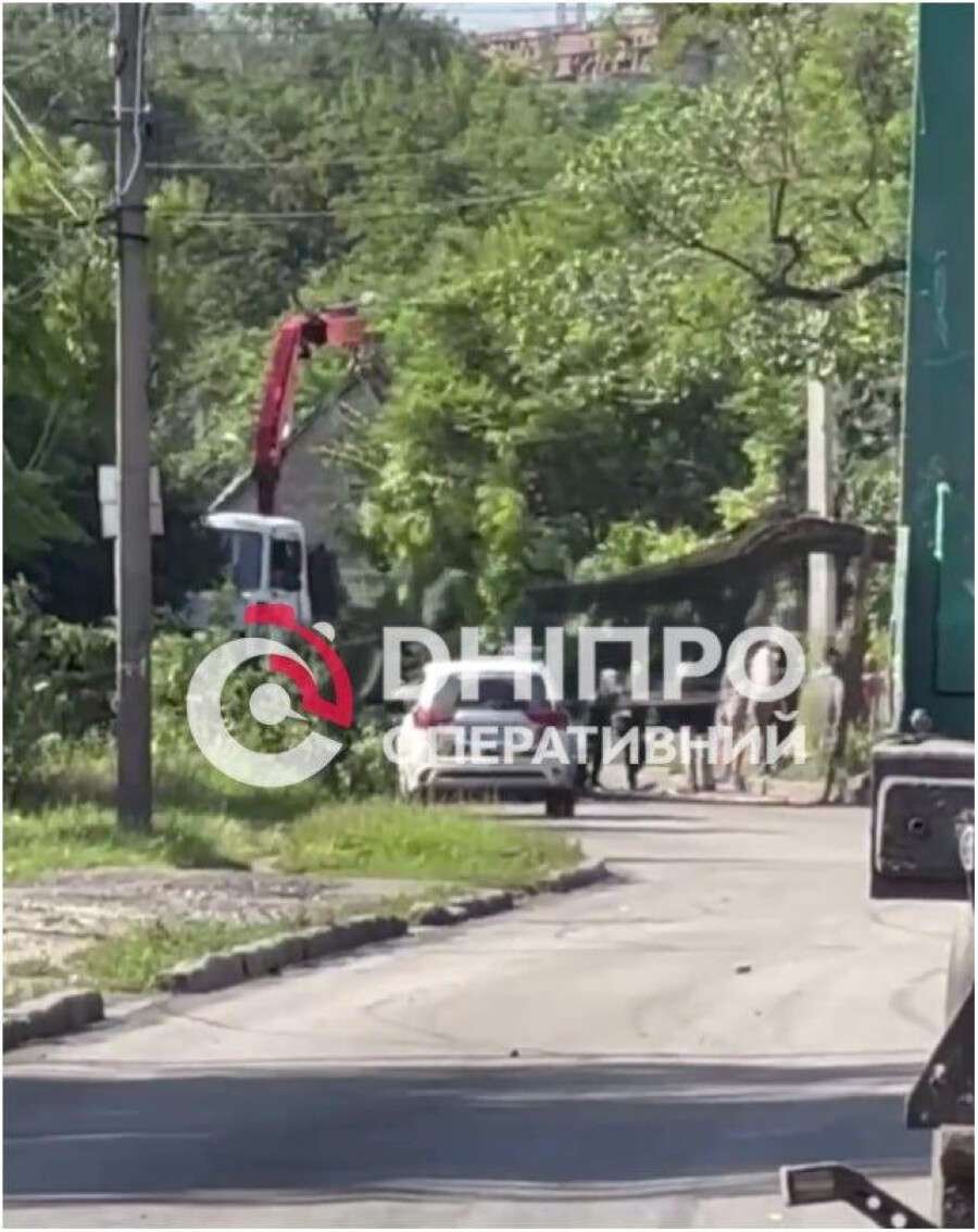 Упало дерево на улице Гвардейская