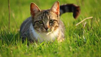 Погода в Днепре июль
