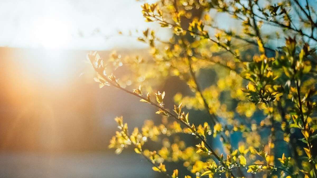 Погода в Днепре