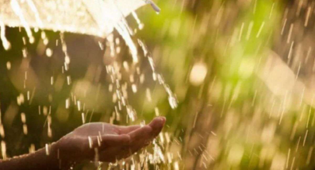 Погода в Днепре июль