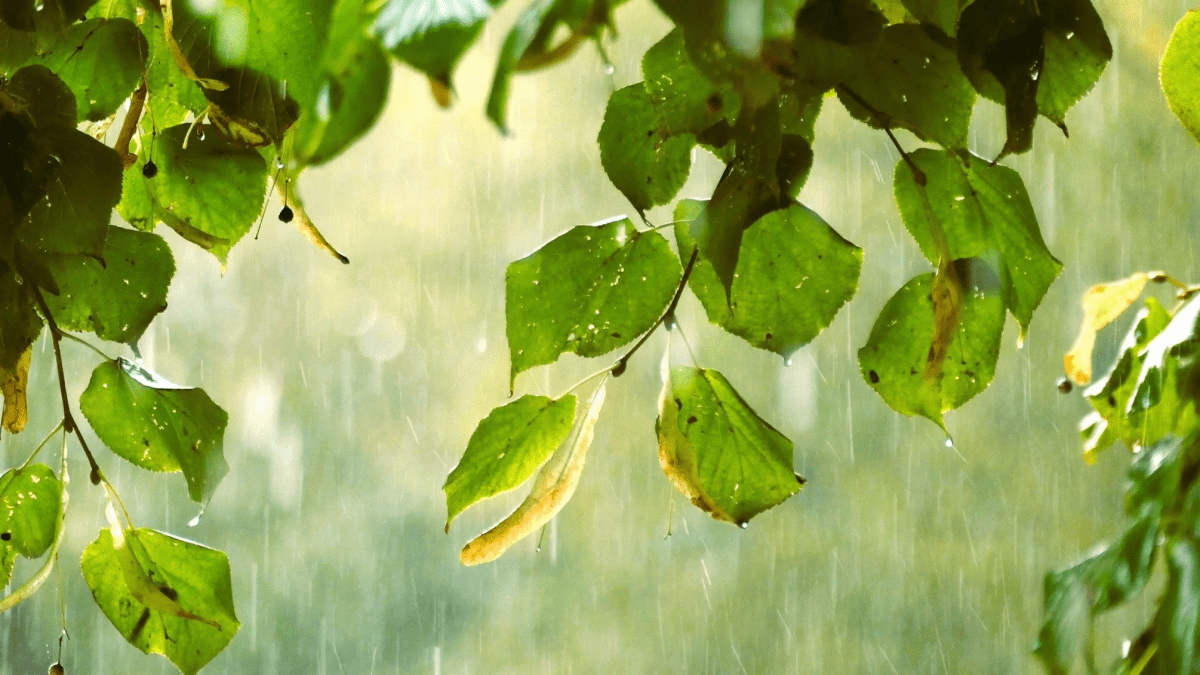 Погода в Днепре июль