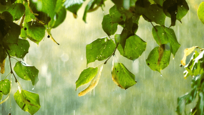 Погода в Днепре июль