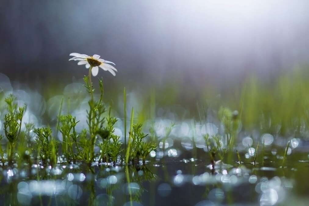 Погода в Дніпрі липень