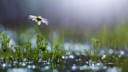 Погода в Дніпрі липень