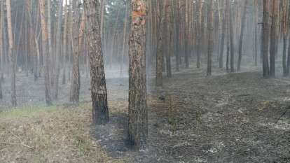 Масштабный лесной пожар под Днепром - подробности