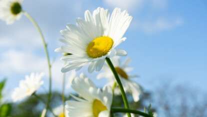 Погода в Днепре лето