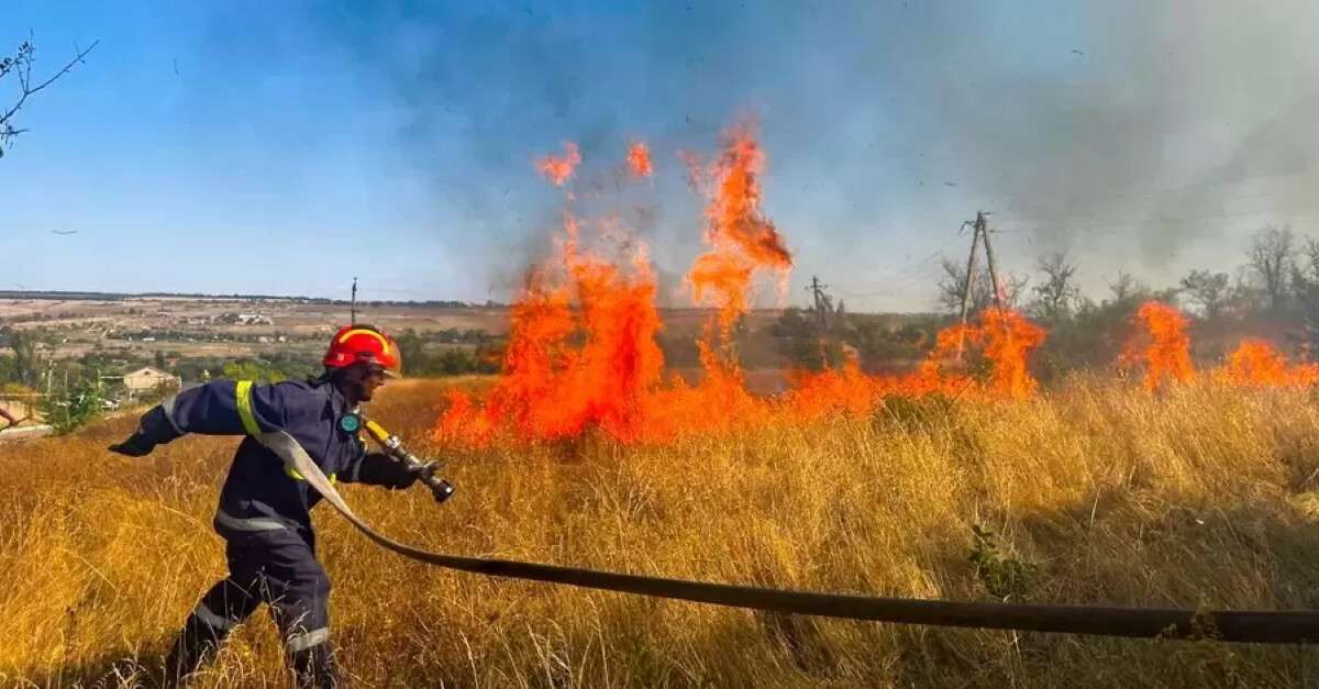 Покарання за підпал сухостою