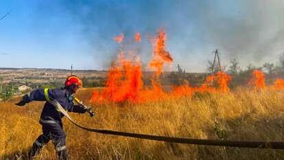 Покарання за підпал сухостою