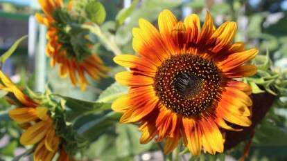 Погода в Днепре июль