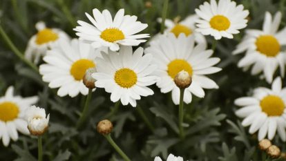 Погода в Днепре лето