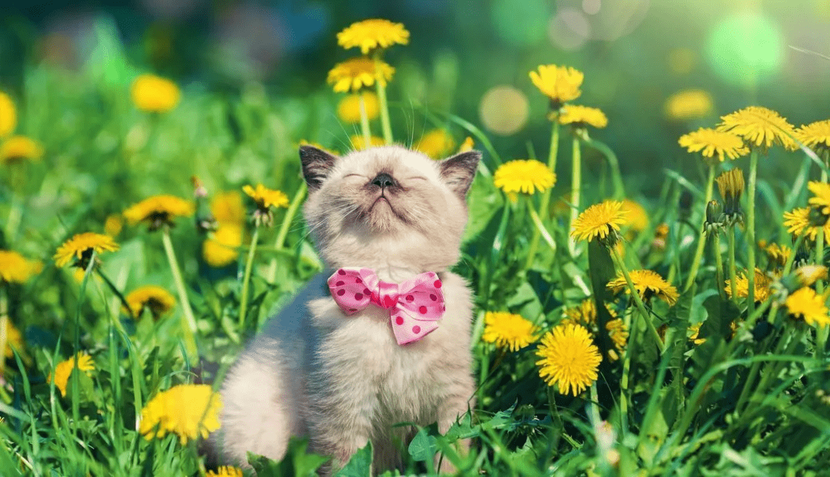 Погода в Дніпрі липень