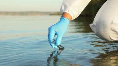 Холероподібний вібріон виявили на пляжах Дніпра