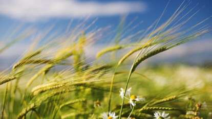 Погода у Дніпрі літо