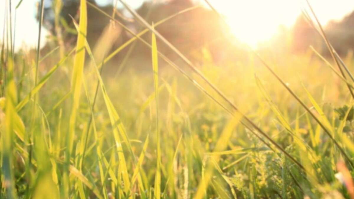 Погода у Дніпрі літо