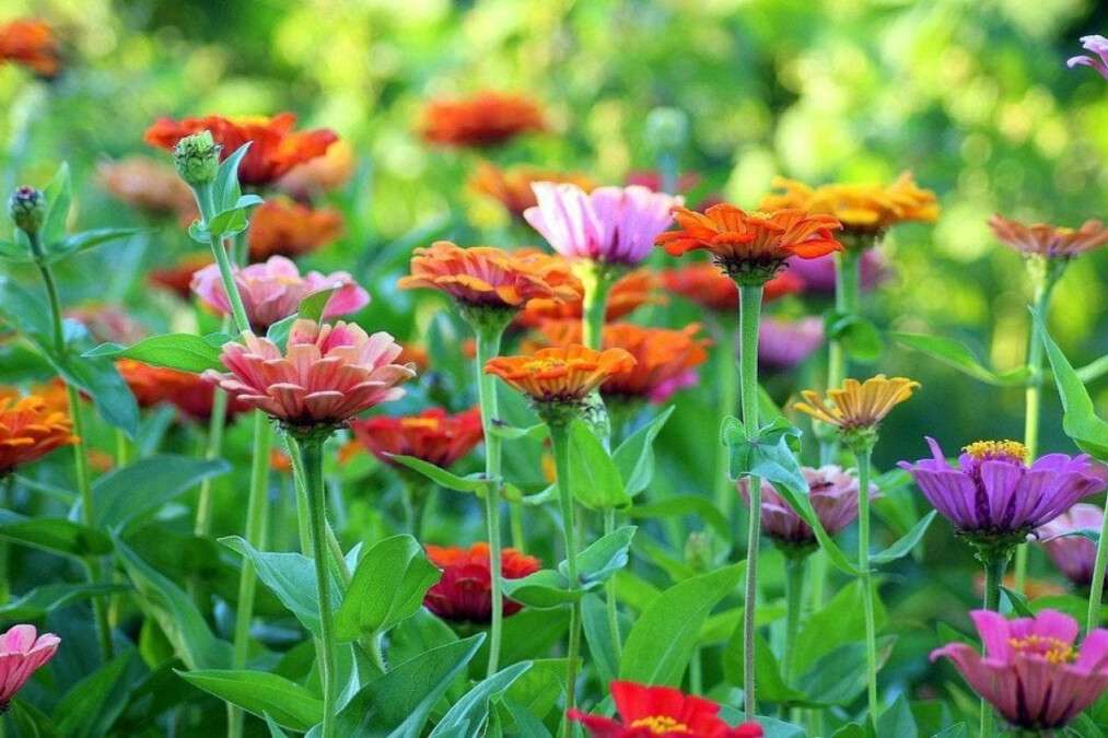 Погода в Днепре август