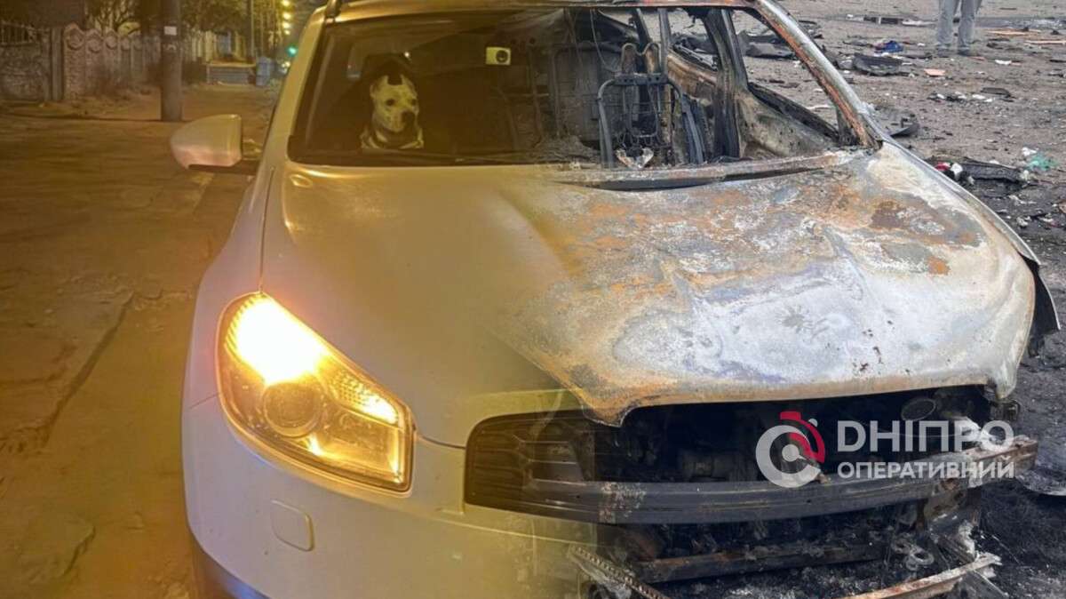 Російська атака на Дніпро знищила автівку місцевого зооготелю