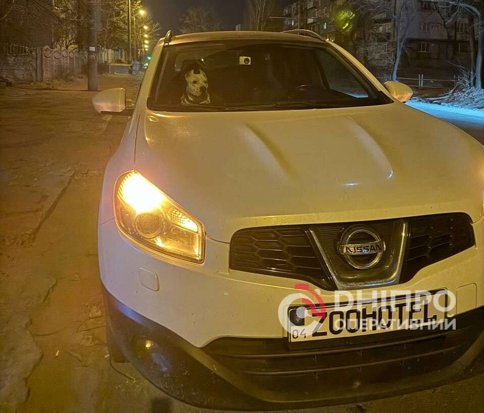 Российская атака на Днепр уничтожила автомобиль местного зоотеля