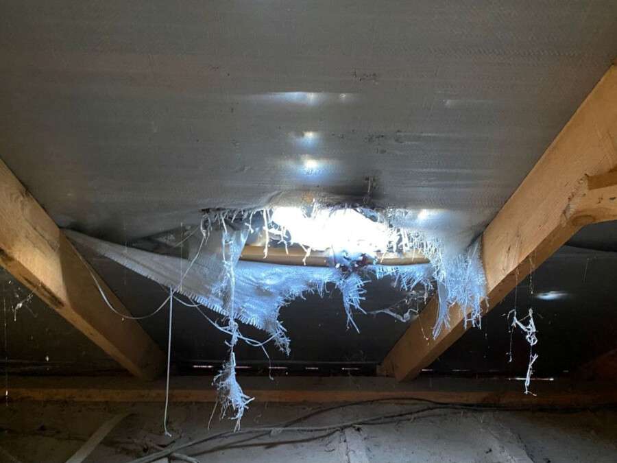 photo_2025-08-11_07-30-05