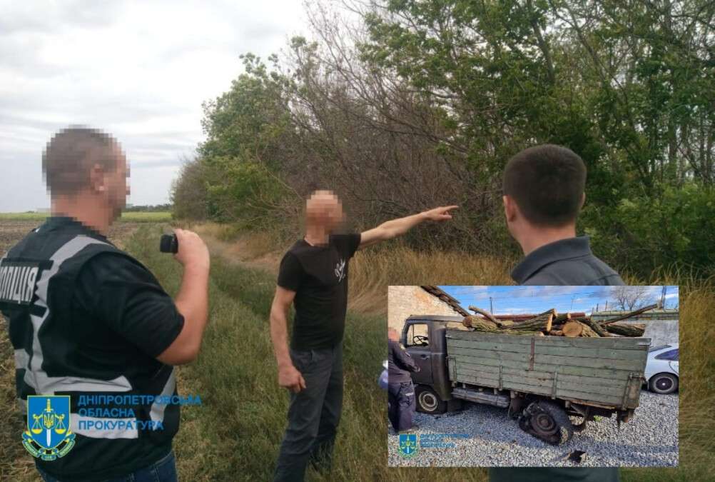 Черные лесорубы на Днепропетровщине