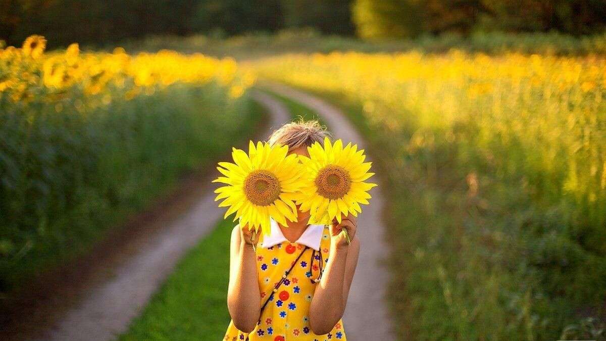 Прогноз погоди у Дніпрі 12 серпня