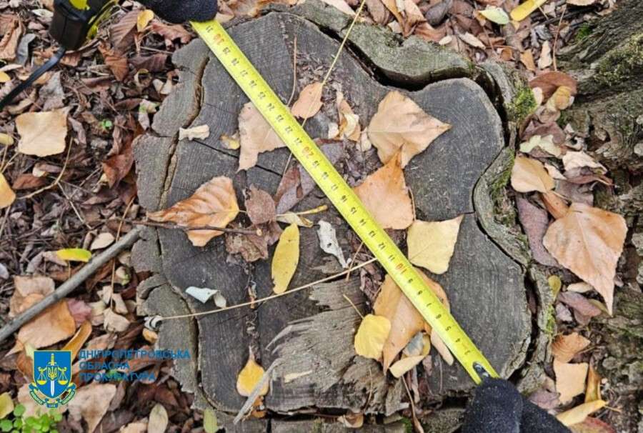 photo_2025-08-15_15-00-02 (4)