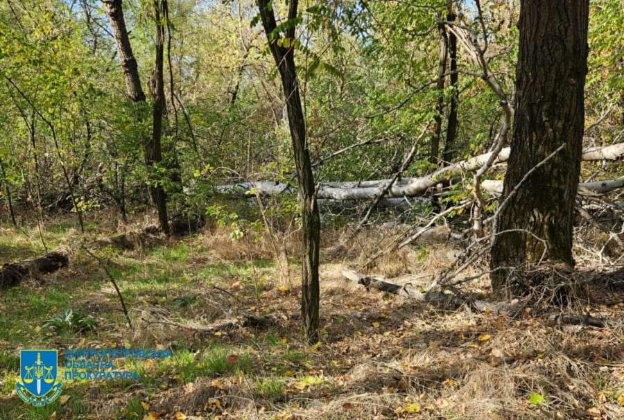 photo_2025-08-15_15-00-02 (5)