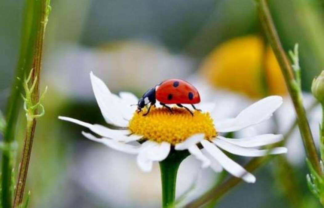 Прогноз погоди Дніпро 16 серпня 2025