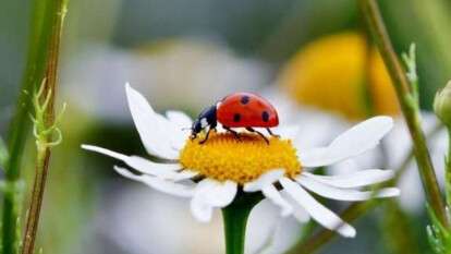 Прогноз погоды Днепр 16 августа 2025