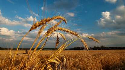 Погода в Дніпр 17 серпня 2025