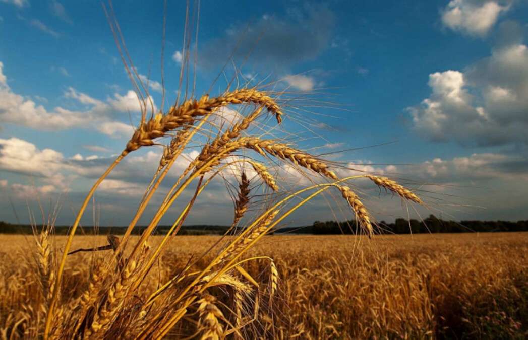 Погода в Днепр 17 августа 2025