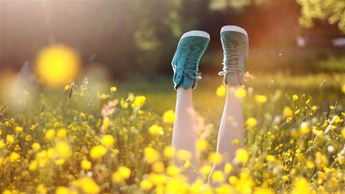 Погода в Дніпрі серпень