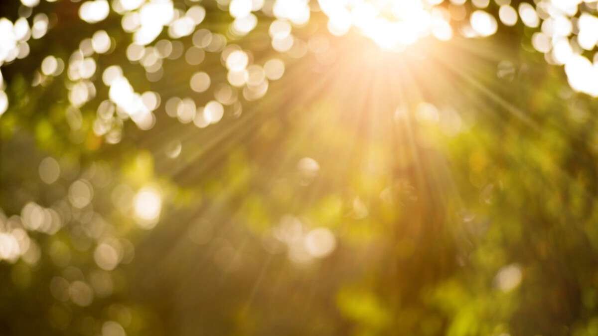 Прогноз погоды Днепр 20 августа