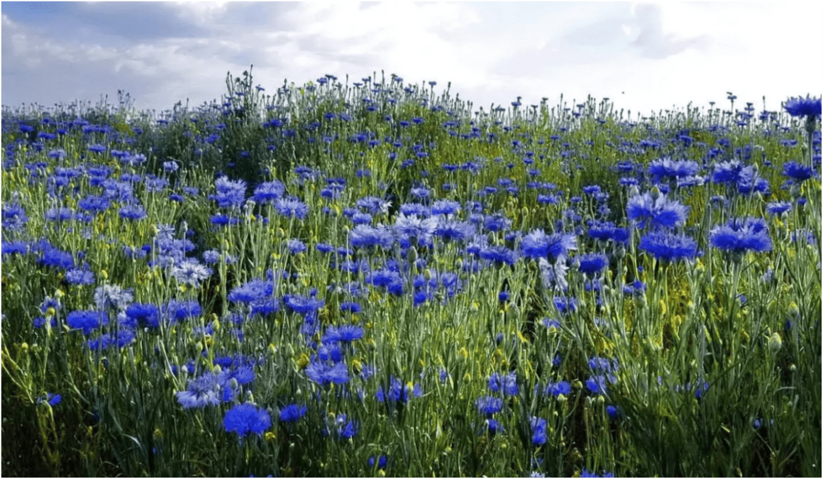 Прогноз погоды на 21 августа 2025 года