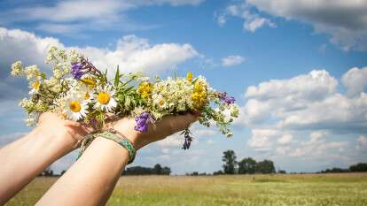 Погода в Дніпрі серпень
