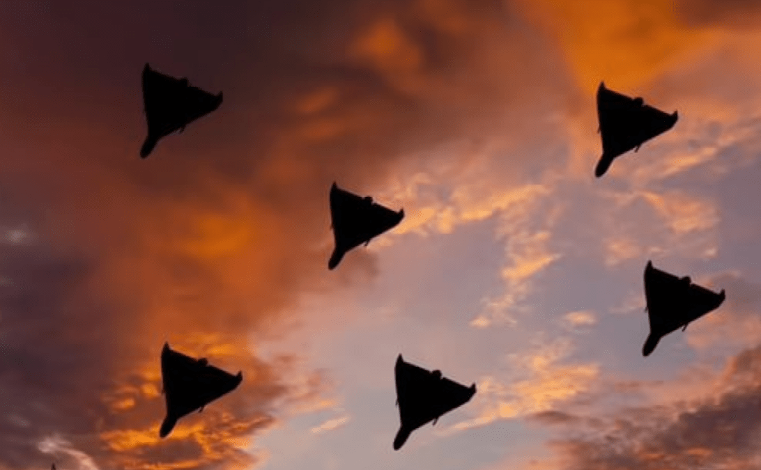 Обстрел 23 августа