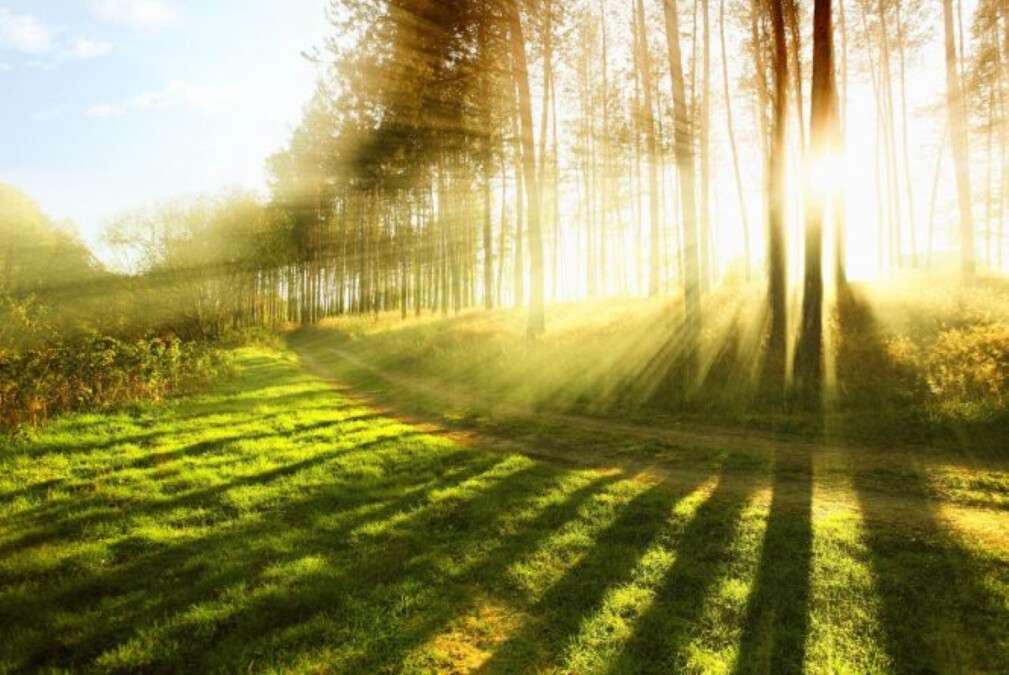 Погода 25 серпня 2025