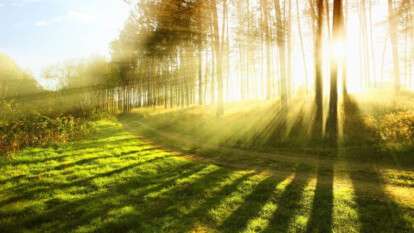 Погода 25 августа 2025