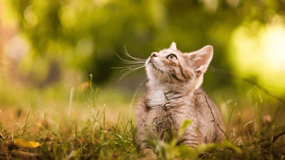 Погода в Днепре август