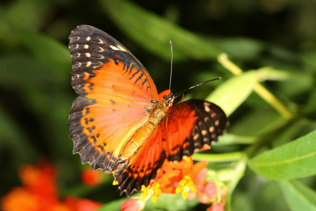 Погода в Днепре август