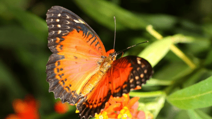 Погода в Днепре август