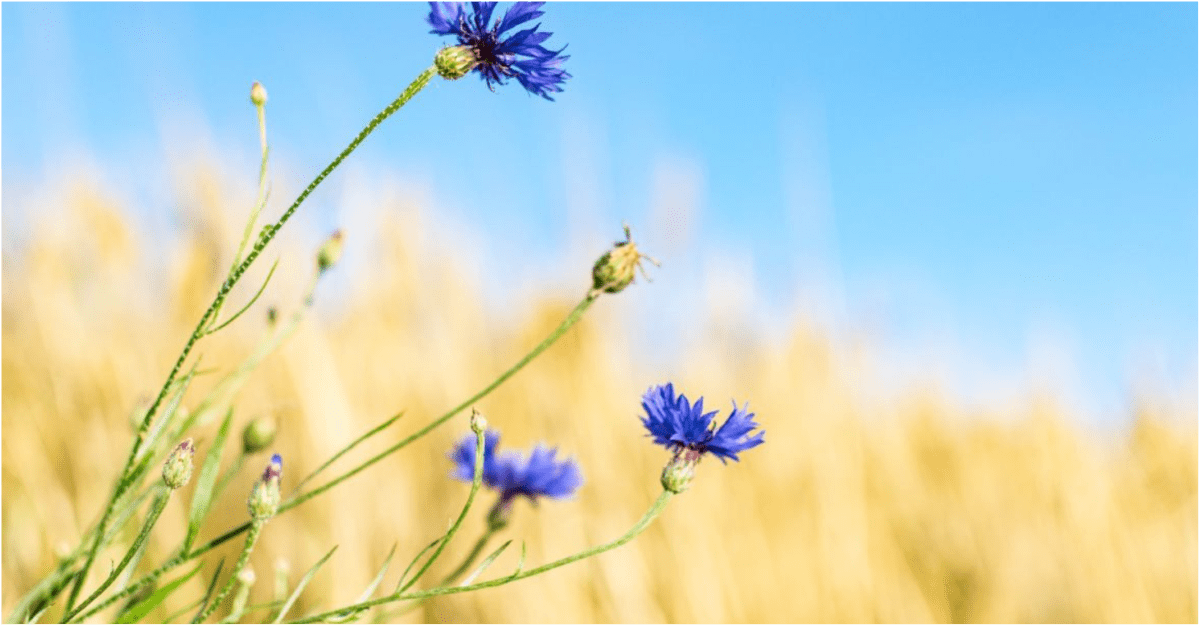 Погода 29 августа