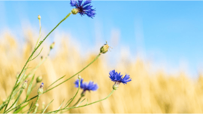 Погода 29 августа